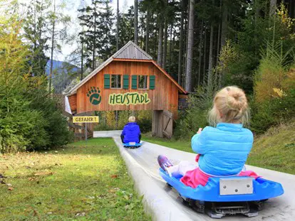 Ausflug mit Kindern - Witterung: Schönwetter - Mit dem Wiesengleiter geht's zurück ins Tal - Der Wilde Berg Mautern