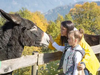 Ausflug mit Kindern - Ausflugsziel ist: ein Freizeitpark - Unsere Tiere lieben die Streicheleinheiten - Der Wilde Berg Mautern