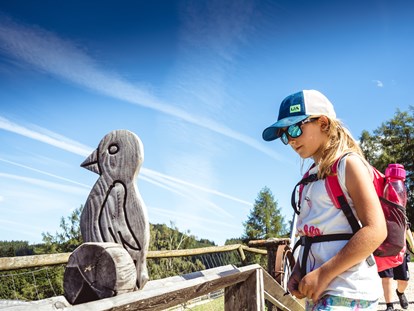 Ausflug mit Kindern - Ausflugsziel ist: ein Freizeitpark - Kugelbahn - Der Wilde Berg Mautern