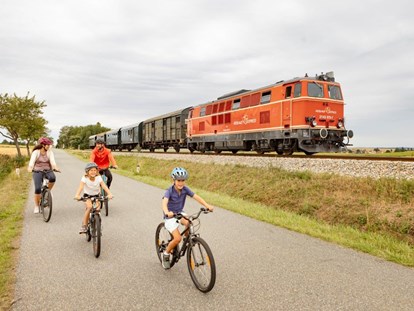 Ausflug mit Kindern - Witterung: Schönwetter - Bahnerlebnis Reblaus Express