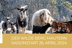 Freizeittipp für die Hochsteiermark: Der Wildtierpark Wilder Berg Mautern - familienausflug.info
