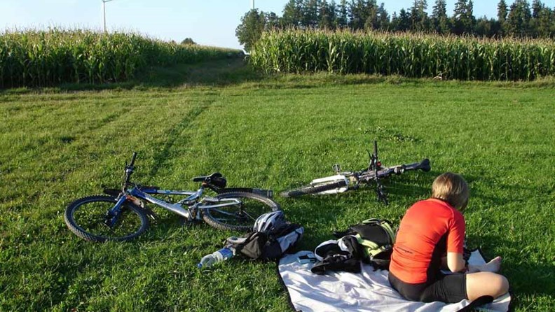 Ausflug mit dem Fahrrad: Mit diesen Tipps haben alle Familienmitglieder Spaß - familienausflug.info