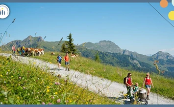 Come with us to the alpine pasture! Our tip for family trips to the Grossarltal - familienausflug.info