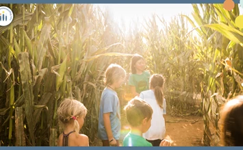 Top summer fun for the family - CORN LABYRINTH - familienausflug.info