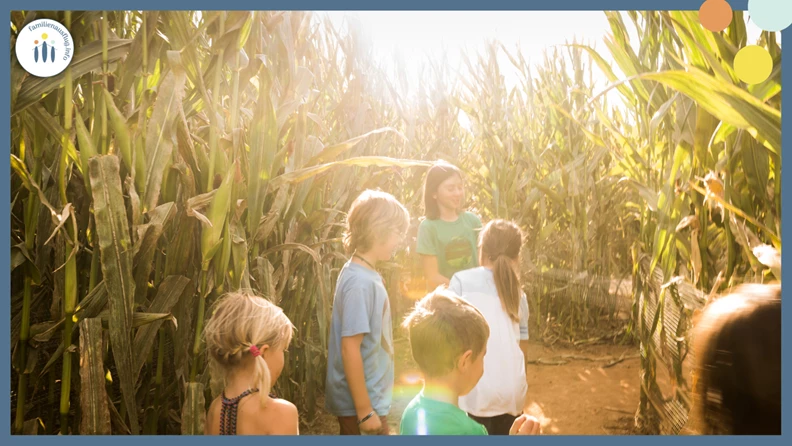 Top summer fun for the family - CORN LABYRINTH - familienausflug.info