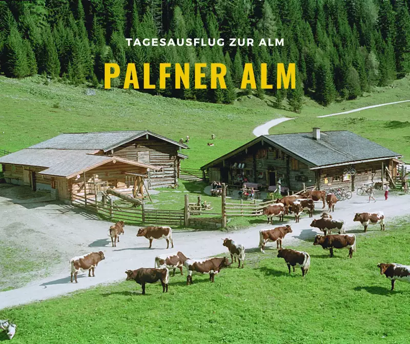 Palfner Alm