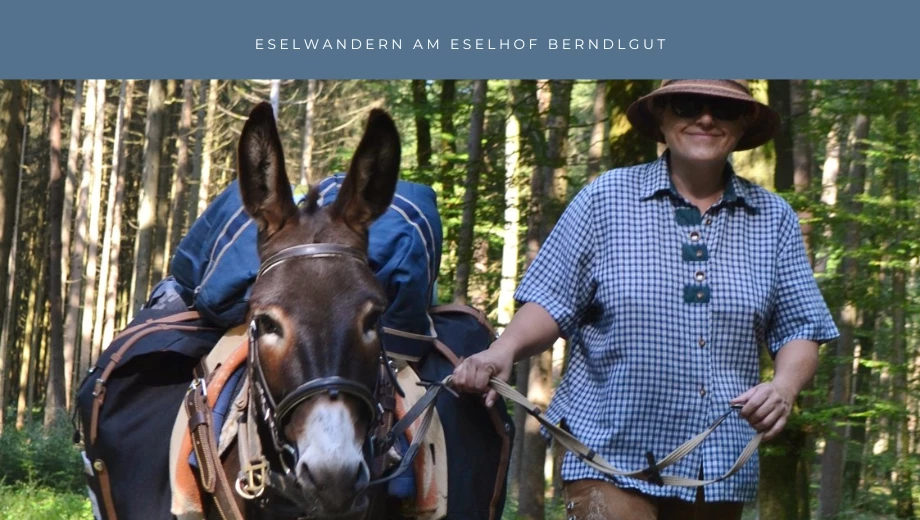 Escursione con gli asini alla fattoria degli asini Berndlgut