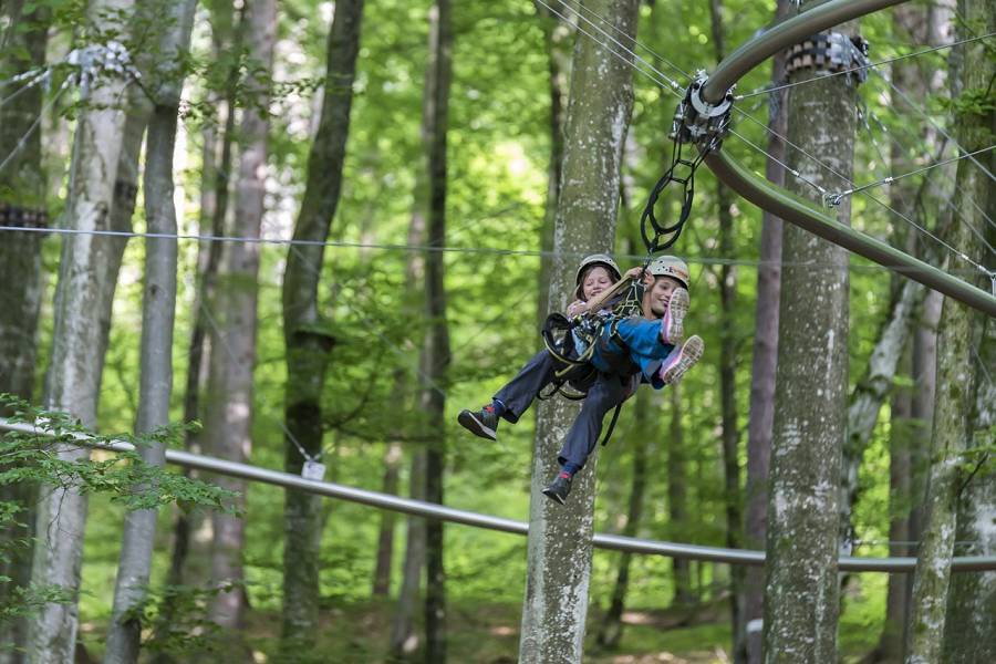 Fly Line Forest Roller Coaster Lake Ossiach Carinthia