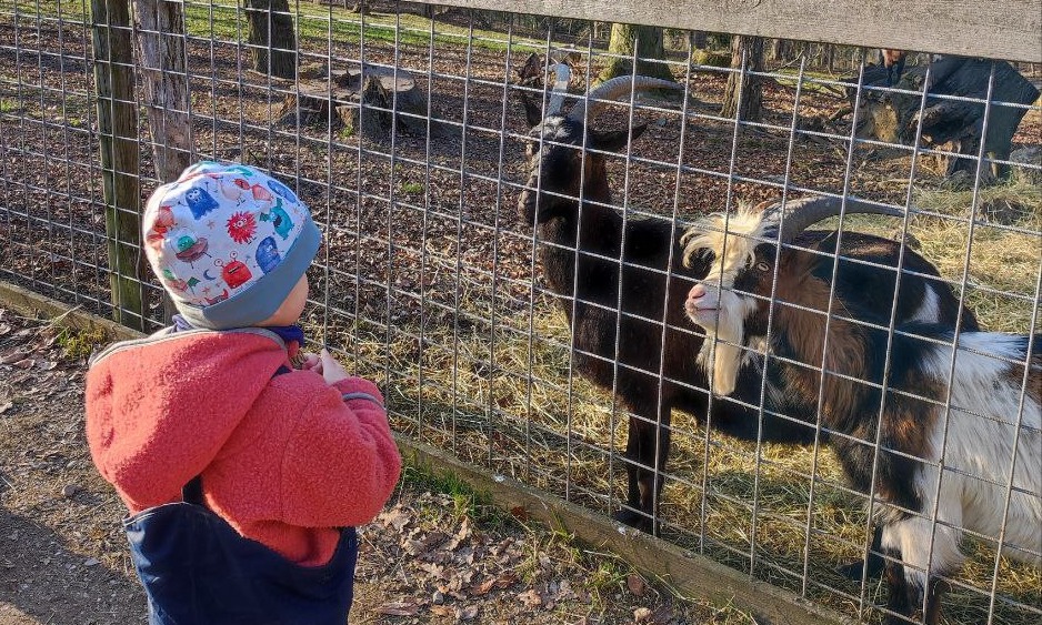 Little Family on Tour - De merveilleux conseils de loisirs pour les familles en Basse-Autriche
