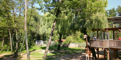 Ausflug mit Kindern - Witterung: Wind - Untertreßleinsbach - Zoo Schmiding Aqua Zoo