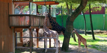 Ausflug mit Kindern - Kinderwagen: vollständig geeignet - Schmiding - Zoo Schmiding Aqua Zoo