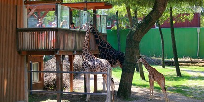 Ausflug mit Kindern - Püret - Zoo Schmiding Aqua Zoo