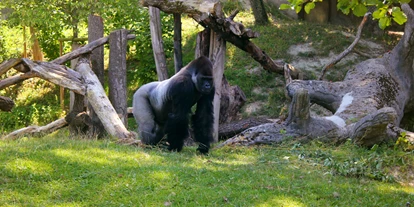 Ausflug mit Kindern - Witterung: Schönwetter - Kirchstetten (Pilsbach) - Zoo Schmiding Aqua Zoo