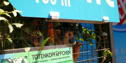 Ausflug mit Kindern - Kinderwagen: vollständig geeignet - Kirchstetten (Pilsbach) - Zoo Schmiding Aqua Zoo