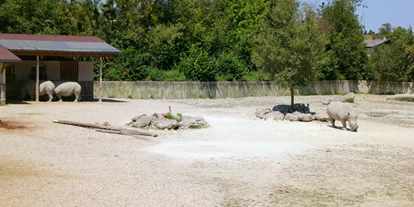 Ausflug mit Kindern - Schatten: überwiegend schattig - Kirchstetten (Pilsbach) - Zoo Schmiding Aqua Zoo