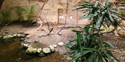 Ausflug mit Kindern - Ausflugsziel ist: ein Zoo - Troß - Zoo Schmiding Aqua Zoo