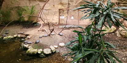 Ausflug mit Kindern - Nußbaum (Bruck-Waasen) - Zoo Schmiding Aqua Zoo