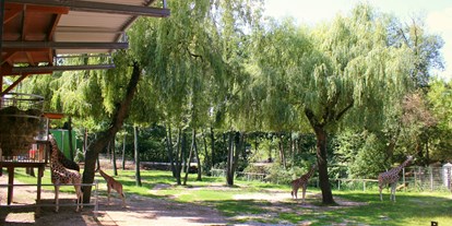 Ausflug mit Kindern - Region Hausruck - Zoo Schmiding Aqua Zoo