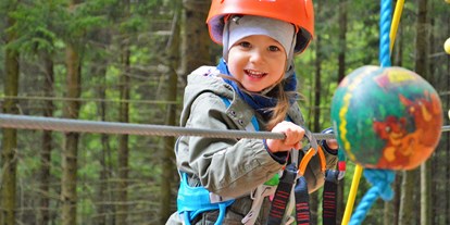 Ausflug mit Kindern - Themenschwerpunkt: Action - Kirchberg am Wechsel - Hamari Kletterpark Mönichkirchen