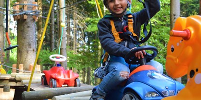 Ausflug mit Kindern - Kinderwagen: halb geeignet - Hartberg (Hartberg) - Hamari Kletterpark Mönichkirchen