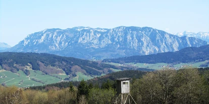 Trip with children - Weg: Naturweg - Berg im Attergau - Aussichtspunkt Hochalm mit Blick auf das Höllengebirge (c) TVB Mondsee - Irrsee - Almplatzl auf der Hochalm
