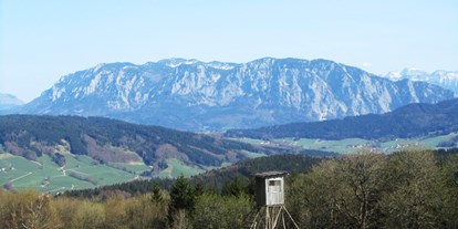 Ausflug mit Kindern - Weißenbach (Bad Goisern am Hallstättersee) - Aussichtspunkt Hochalm mit Blick auf das Höllengebirge (c) TVB Mondsee - Irrsee - Almplatzl auf der Hochalm