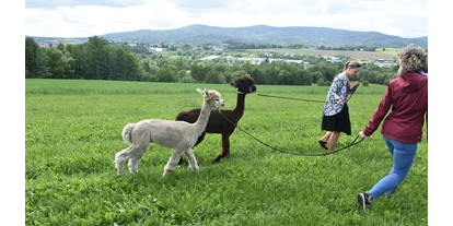 Trip with children - Themenschwerpunkt: Tiere - Germany - Alpakawanderung am Einberghof - Einberghof mit Alpakawanderungen