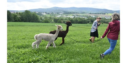 Ausflug mit Kindern - Themenschwerpunkt: Tiere - Alpakawanderung am Einberghof - Einberghof mit Alpakawanderungen