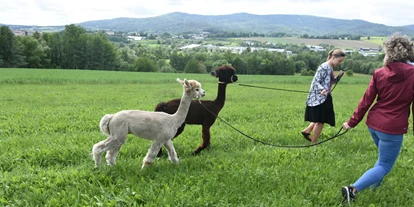 Ausflug mit Kindern - Themenschwerpunkt: Tiere - Deutschland - Einberghof mit Alpakawanderungen