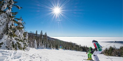 Ausflug mit Kindern - Witterung: Schönwetter - Böhmerwald - Skigebiet Hochficht - Skispaß für die ganze Familie