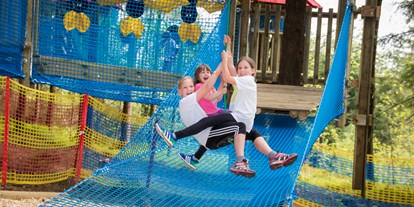 Ausflug mit Kindern - Ausflugsziel ist: ein Freizeitpark - Oberösterreich - Kinderkletterpark Kirchschlag Ralf & Walter