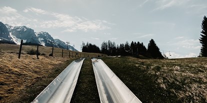 Ausflug mit Kindern - WC - Österreich - Sommerrodelnbahnen im Freizeitpark Zahmer Kaiser Walchsee/Tirol - Sommerrodelbahn Walchsee
