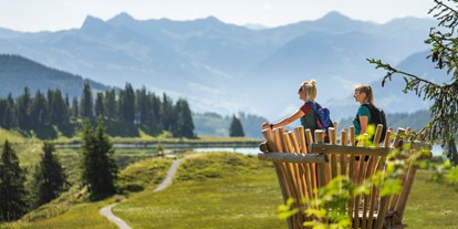 Ausflug mit Kindern - Dauer: mehrtägig - Tiroler Unterland - KaiserWelt Scheffau