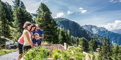 Ausflug mit Kindern - Dauer: halbtags - Tirol - Wanderung entlang des 1 km langen Rundwanderweges mit 14 unterschiedlichen Stationen! - ZirbenPark Hochzeiger mit ZirbenCarts