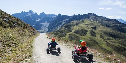 Ausflug mit Kindern - Alter der Kinder: über 10 Jahre - Tirol - 3,7 km lange ZirbenCart-Strecke - ZirbenPark Hochzeiger mit ZirbenCarts