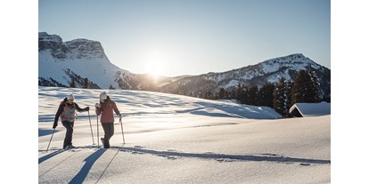Ausflug mit Kindern - Alter der Kinder: 2 bis 4 Jahre - Welschnofen - Schneeschuhwanderungen rund um die Geisleralm  - Geisler Alm - Ranui