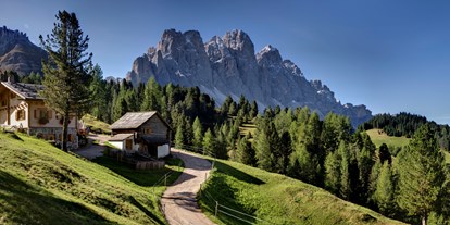 Ausflug mit Kindern - Preisniveau: günstig - Raas (Trentino-Südtirol) - Kaserillalm Panorama - Kaserill Alm - Zans