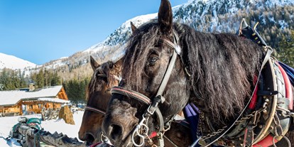 Ausflug mit Kindern - Themenschwerpunkt: Abenteuer - Gais (Trentino-Südtirol) - Pferdeschlittenfahrten im Gsieser Tal