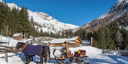 Ausflug mit Kindern - Themenschwerpunkt: Entdecken - Trentino-Südtirol - Pferdeschlittenfahrten im Gsieser Tal