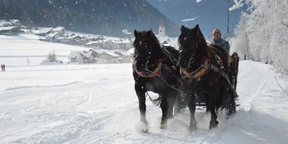 Ausflug mit Kindern - erreichbar mit: Auto - Reischach (Trentino-Südtirol) - Pferdekutschen- und Schlittenfahrten Leitgeb