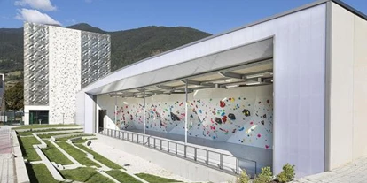 Ausflug mit Kindern - Kindergeburtstagsfeiern - Italien - Kletterhalle Vertikale