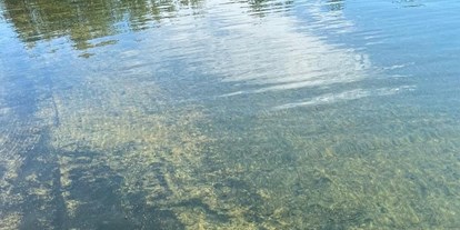 Ausflug mit Kindern - Stockham (Straßwalchen) - Eberschwanger Naturbad