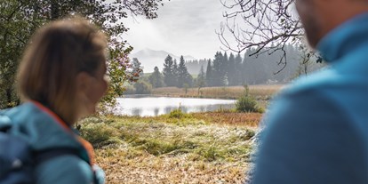 Ausflug mit Kindern - Alter der Kinder: 1 bis 2 Jahre - Traunkirchen - Hochmoorgebiet Egelsee