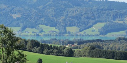 Ausflug mit Kindern - Ausflugsziel ist: ein Aussichtspunkt - Weißenkirchen im Attergau - Aussichtsplatz am Irrsee: Die Heissinger Höhe (c) TVB Mondsee - Irrsee - Heissinger Höhe