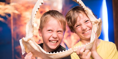 Ausflug mit Kindern - Stockham (Straßwalchen) - Kindergeburtstag - Haus der Natur - Museum für Natur und Technik