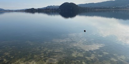 Ausflug mit Kindern - Dauer: ganztags - Salzburger Seenland - Blick auf den See - Strandbad Seeham