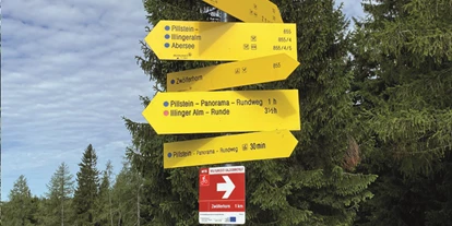 Ausflug mit Kindern - Ausflugsziel ist: ein Naturerlebnis - Sankt Leonhard (Grödig) - Zwölferhorn Seilbahn