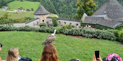 Ausflug mit Kindern - Ausflugsziel ist: ein Wahrzeichen - Sankt Leonhard (Grödig) - Erlebnisburg Hohenwerfen