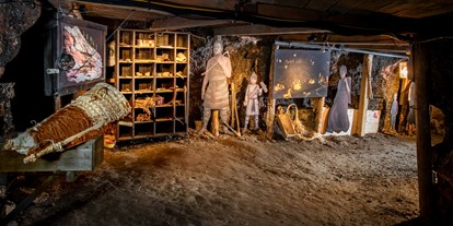 Ausflug mit Kindern - Dauer: halbtags - Ebensee - Schauplatz Archäologie im ältesten Salzbergwerk der Welt - Salzwelten Hallstatt