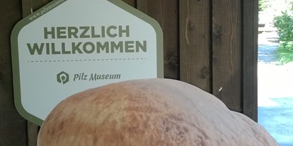 Ausflug mit Kindern - Äußere Einöde - Pilz Museum